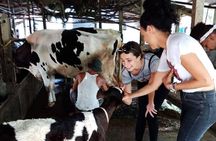Ho Chi Minh City Full-Day Farm trip with Healthy Cooking Class