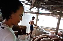 Ho Chi Minh City Full-Day Farm trip with Healthy Cooking Class