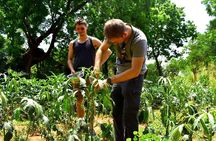 Etili Village Tour from Ella