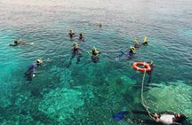 Seastar Luxury Outer Great Barrier Reef Island and Reef Tour