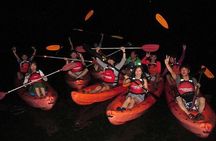 Bohol: Firefly Kayaking with Dinner
