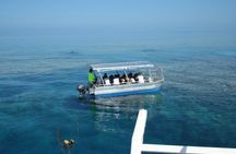 Seastar Luxury Outer Great Barrier Reef Island and Reef Tour