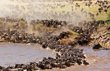3-day Masai Mara Safari Tour to see the big five and wildebeest migration