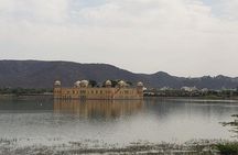 Jaipur: Full Day Private tour with professional guide by Car