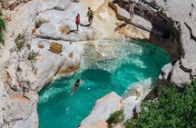 Discover Paradise Valley and local life