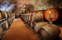 Small-Group Wine Tasting Experience in the Tuscan Countryside