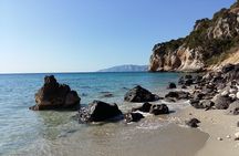 Snorkeling Experience to discover the dolphin inside you!