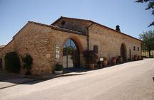 Small-Group Wine Tasting Experience in the Tuscan Countryside