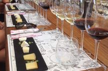  Daily Different small group WINE tour - STELLENBOSCH PICKUP only 