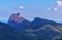 Tijuca Forest Trail Running Tour