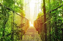 Ultimate Escape 11-Day Costa Rica Volcanoes & Wildlife Self-Drive