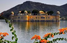 Jaipur Private Day Tour from Delhi - All inclusive 