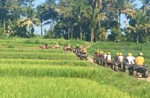 Bali ATV Ride Ubud Jungle Track
