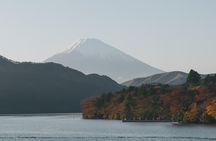 Tokyo to Hakone | Private and Personalized Day Trip with a Local