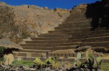 Pisac Indian Market and Ollantaytambo Fortress with Lunch