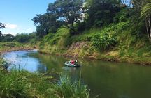 Private Sloth Encounter Waterfall And Corobici Floating Tour
