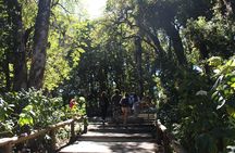 Inthanon Day Trip from Chiang Mai with Lunch - Group or Private