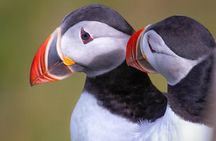 Private South Coast Tour with a Professional Photographer/Guide