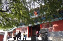 Luoyang Private Tour to Shaolin Temple including Kungfu Lesson