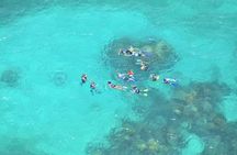Contoy Caribbean Adventure! Round Transportation from Cancun 