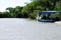 Palo Verde National Park River Jungle Safari