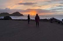 Northern Highlights Full-Day Guided Tour in Northern Ireland