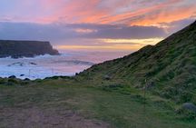 Northern Highlights Full-Day Guided Tour in Northern Ireland