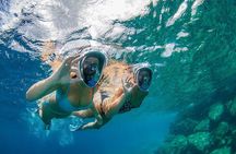 Guided Snorkel Tour at the Best Reef from shore on Curacao - Blue Bay Beach
