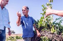 Santorini Family Farm Food & Wine Tour with Cooking Class