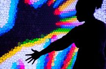 SKIP THE LINE: Exploratorium Daytime Admission