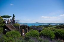 Wine on Waiheke scenic PREMIUM wine tasting. 11 clients only !