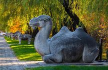 Private Beijing Day Trip: Mutianyu Great Wall and Ming Tombs