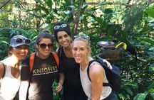 Beach-mountain & Sloth Refuge Atv Tour