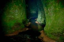 Join the Dark Side of Magical Nature