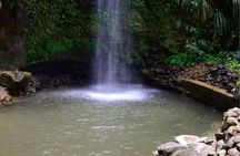 Soufriere Land Excursion 