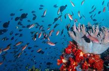 Private tour 4 days 3 nights Komodo on boat, waterfall and Rangko cave 