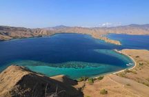 One day Komodo trip with Bintang Komodo Tours