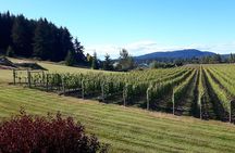 Private Saanich Peninsula Wine Tour 