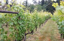 Private Saanich Peninsula Wine Tour 