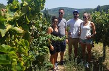 Semi-Private Wine Discovery Tour in Chania