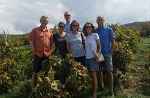 Semi-Private Wine Discovery Tour in Chania