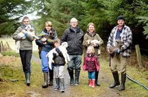 Award-Winning Goat Cheese Tasting and Farm Tour in Ennistymon