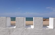 Private Tour to Assilah