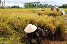 Hoi An Countryside By Bike