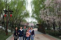 Inner City Private Day Tour To Big Wild Goose Pagoda, City Wall &Muslim Quarter
