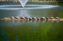 Butchart Gardens and City Tour