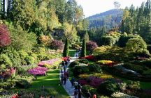 Butchart Gardens and City Tour