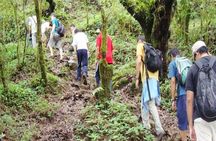 Private Day Hike to Shivapuri