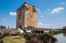 3.5 Hour Camargue 4x4 Safari from Le Grau-du Roi