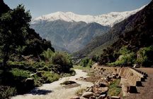Private Full Day Tour in Ourika Valley and Atlas Mountains 